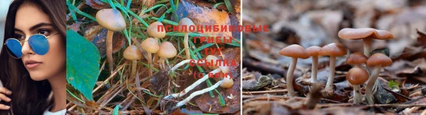 трава Липки