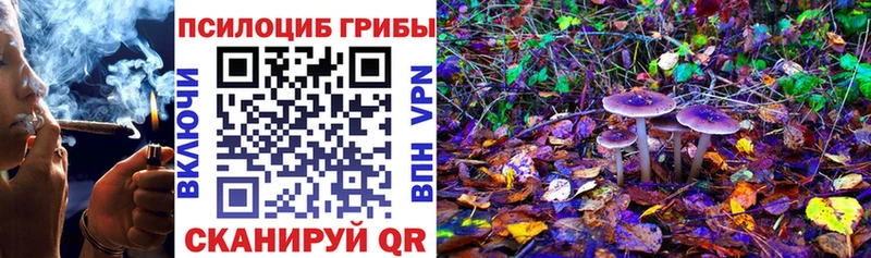 Купить  Яранск  Галлюциногенные грибы MAGIC MUSHROOMS 