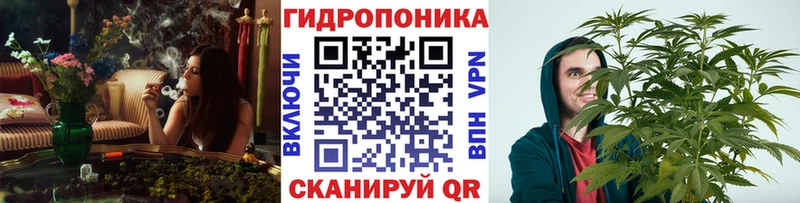 Купить закладки  Яранск  МАРИХУАНА MAZAR 